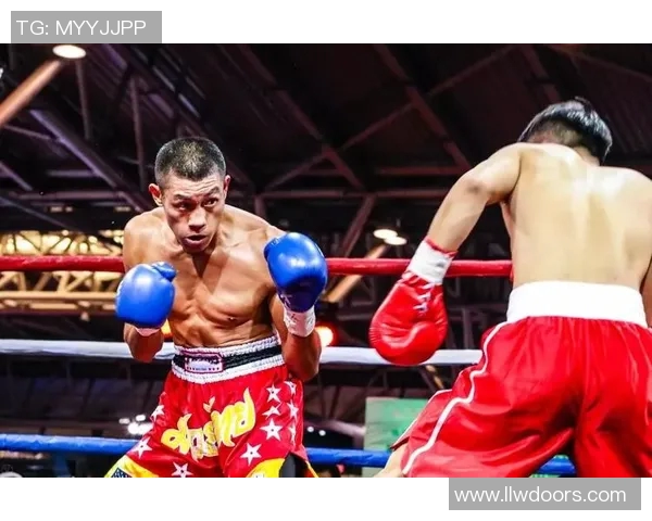 谢菲联迎战伯顿期待精彩对决双方球员状态火热争夺胜利荣耀 谢菲联迎战伯顿期待精彩对决双方球员状态火热争夺胜利荣耀